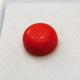 2 Ct Natural Red Coral Italian Cabochon Round Cut Loose Gemstone